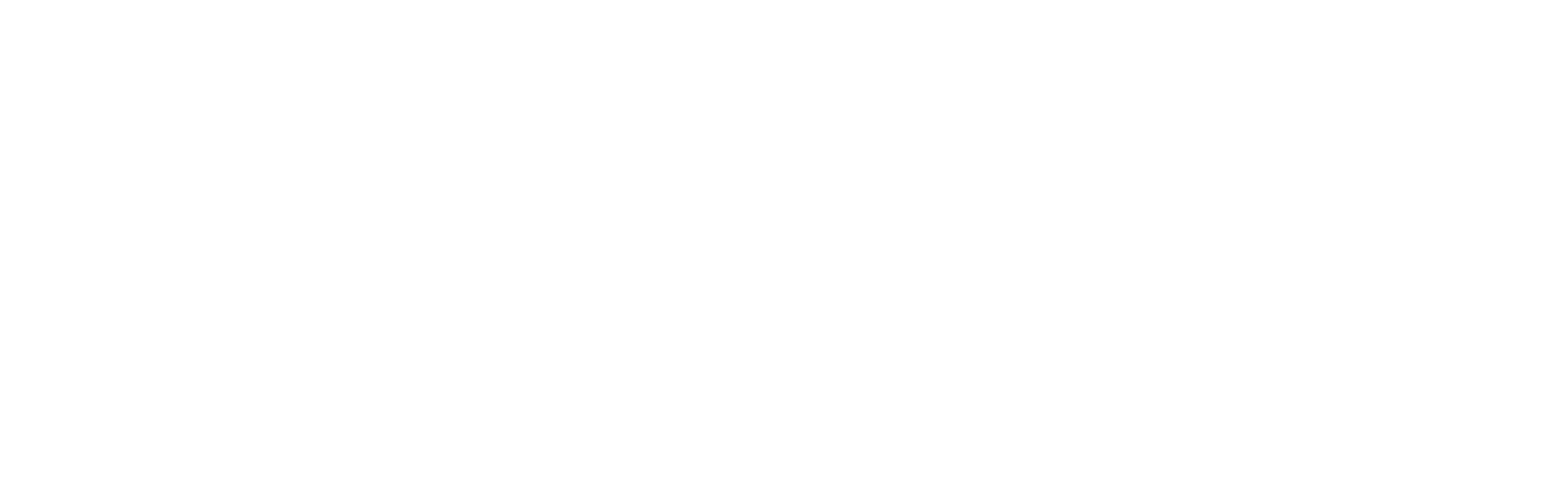 Ceifa IT Services
